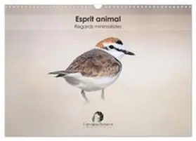 CALVENDO / Martzel |  Esprit animal - Regards minimalistes (Calendrier mural 2026 DIN A3 vertical), CALVENDO calendrier mensuel | Sonstiges |  Sack Fachmedien