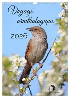 Martzel / CALVENDO |  Voyage ornithologique (Calendrier mural 2026 DIN A3 horizontal), CALVENDO calendrier mensuel | Sonstiges |  Sack Fachmedien