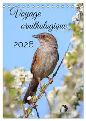 CALVENDO / Martzel |  Voyage ornithologique (Calendrier de bureau 2026 DIN A5 horizontal), CALVENDO calendrier mensuel | Sonstiges |  Sack Fachmedien