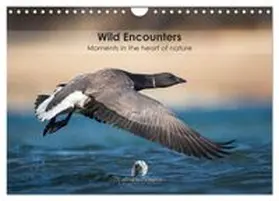 CALVENDO / Martzel |  Wild encounters - Moments in the heart of nature (Wall Calendar 2026 DIN A4 landscape), CALVENDO 12 Month Wall Calendar | Sonstiges |  Sack Fachmedien
