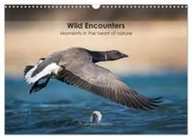 CALVENDO / Martzel |  Wild encounters - Moments in the heart of nature (Wall Calendar 2026 DIN A3 landscape), CALVENDO 12 Month Wall Calendar | Sonstiges |  Sack Fachmedien