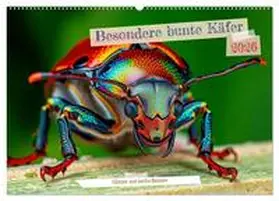 Irmer / CALVENDO |  Besondere bunte Käfer (Wandkalender 2026 DIN A2 quer), CALVENDO Monatskalender | Sonstiges |  Sack Fachmedien
