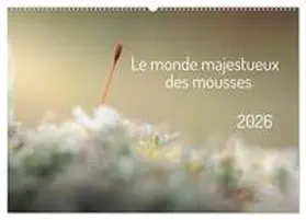 Martzel / CALVENDO |  Le monde majestueux des mousses (Calendrier mural 2026 DIN A2 vertical), CALVENDO calendrier mensuel | Sonstiges |  Sack Fachmedien