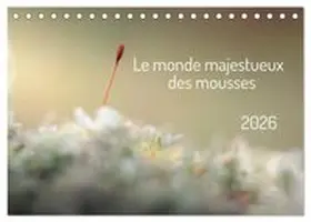 CALVENDO / Martzel |  Le monde majestueux des mousses (Calendrier de bureau 2026 DIN A5 vertical), CALVENDO calendrier mensuel | Sonstiges |  Sack Fachmedien