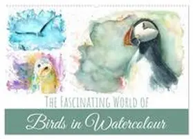 Krüger / CALVENDO |  The Fascinating World of Birds in Watercolour (Wall Calendar 2026 DIN A2 landscape), CALVENDO 12 Month Wall Calendar | Sonstiges |  Sack Fachmedien