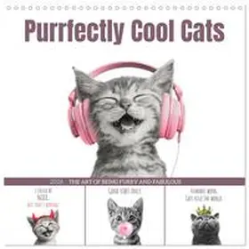 CALVENDO / Viola |  Purrfectly Cool Cats (Wall Calendar 2026 12 × 12 Inch) CALVENDO 12 Month Wall Calendar | Sonstiges |  Sack Fachmedien