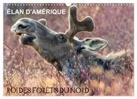 CALVENDO / Henry |  ÉLAN D'AMÉRIQUE - ROI DES FORÊTS DU NORD (Calendrier mural 2026 DIN A3 vertical), CALVENDO calendrier mensuel | Sonstiges |  Sack Fachmedien