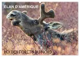 CALVENDO / Henry |  ÉLAN D'AMÉRIQUE - ROI DES FORÊTS DU NORD (Calendrier mural 2026 DIN A2 vertical), CALVENDO calendrier mensuel | Sonstiges |  Sack Fachmedien