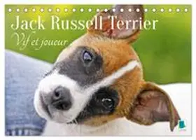 CALVENDO |  Jack Russell Terrier : vif et joueur (Calendrier de bureau 2026 DIN A5 vertical), CALVENDO calendrier mensuel | Sonstiges |  Sack Fachmedien
