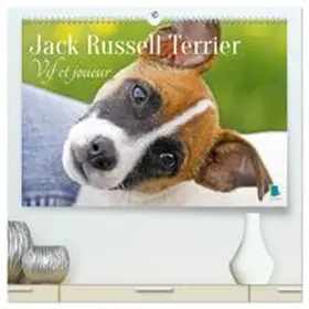 CALVENDO |  Jack Russell Terrier : vif et joueur  (Calendrier mural 2026 DIN A2 vertical) calendrier de bureau | Sonstiges |  Sack Fachmedien