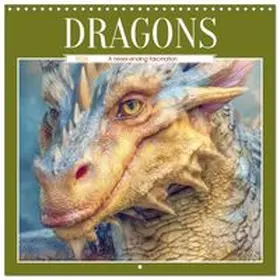 CALVENDO / Brunner-Klaus |  Dragons - A never-ending fascination (Wall Calendar 2026 12 × 12 Inch) CALVENDO 12 Month Wall Calendar | Sonstiges |  Sack Fachmedien