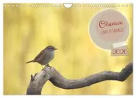 CALVENDO / AUPEIX |  Oiseaux libres et sauvages (Calendrier mural 2026 DIN A4 vertical), CALVENDO calendrier mensuel | Sonstiges |  Sack Fachmedien