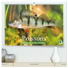 CALVENDO |  Poissons : d'étangs et des rivières  (Calendrier mural 2027 DIN A2 vertical) calendrier de bureau | Sonstiges |  Sack Fachmedien