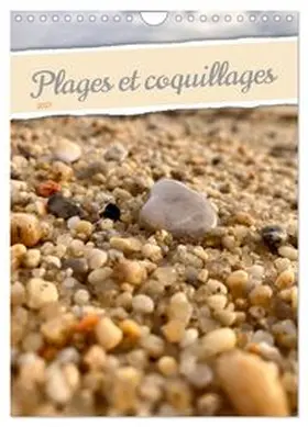 CALVENDO / Aupeix |  Plages et coquillages (Calendrier mural 2027 DIN A4 horizontal), CALVENDO calendrier mensuel | Sonstiges |  Sack Fachmedien