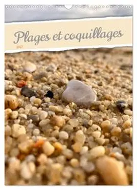 CALVENDO / Aupeix |  Plages et coquillages (Calendrier mural 2027 DIN A3 horizontal), CALVENDO calendrier mensuel | Sonstiges |  Sack Fachmedien