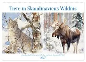 CALVENDO / Kleemann |  Tiere in Skandinaviens Wildnis (Wandkalender 2027 DIN A2 quer), CALVENDO Monatskalender | Sonstiges |  Sack Fachmedien