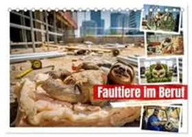CALVENDO / Irmer |  Faultiere im Beruf (Tischkalender 2027 DIN A5 quer), CALVENDO Monatskalender | Sonstiges |  Sack Fachmedien