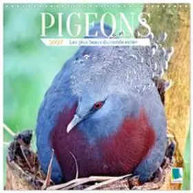 CALVENDO |  Pigeons : les plus beaux du monde entier (Calendrier mural carré 2027 30x30 cm) Calendrier double avec une page pour vos prises de notes | Sonstiges |  Sack Fachmedien