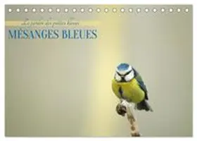 CALVENDO / Aupeix |  Mésanges bleues (Calendrier de bureau 2027 DIN A5 vertical), CALVENDO calendrier mensuel | Sonstiges |  Sack Fachmedien