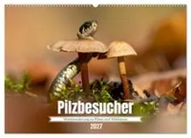 CALVENDO / Waurick |  Pilzbesucher (Wandkalender 2027 DIN A2 quer), CALVENDO Monatskalender | Sonstiges |  Sack Fachmedien