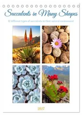 CALVENDO / Waurick |  Succulents in Many Shapes (Desk Calendar 2027 DIN A5 portrait), CALVENDO 12 Month DeskCalendar | Sonstiges |  Sack Fachmedien