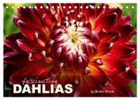 CALVENDO / Kruse |  Fascinating Dahlias (Desk Calendar 2027 DIN A5 landscape), CALVENDO 12 Month DeskCalendar | Sonstiges |  Sack Fachmedien