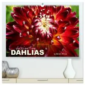 CALVENDO / Kruse |  Fascinating Dahlias (High Quality Premium Wall Calendar 2027 DIN A2 landscape),CALVENDO 12 Month Wall Calendar | Sonstiges |  Sack Fachmedien