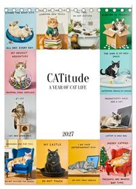 CALVENDO / Melas |  CATitude A YEAR OF CAT LIFE (Desk Calendar 2027 DIN A5 portrait), CALVENDO 12 Month DeskCalendar | Sonstiges |  Sack Fachmedien