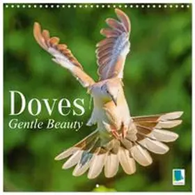 CALVENDO |  Doves: Gentle Beauty (Wall Calendar 2027 12 × 12 Inch) CALVENDO 12 Month Wall Calendar | Sonstiges |  Sack Fachmedien