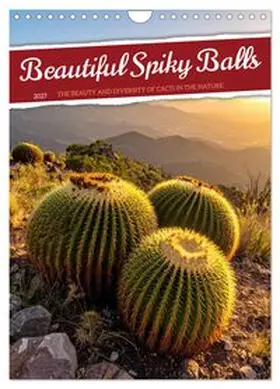 CALVENDO / Waurick |  Beautiful Spiky Balls (Wall Calendar 2027 DIN A4 portrait), CALVENDO 12 Month Wall Calendar | Sonstiges |  Sack Fachmedien
