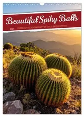 CALVENDO / Waurick |  Beautiful Spiky Balls (Wall Calendar 2027 DIN A3 portrait), CALVENDO 12 Month Wall Calendar | Sonstiges |  Sack Fachmedien
