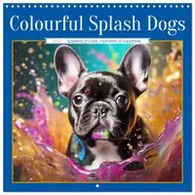 CALVENDO / Verena Scholze |  Colourful Splash Dogs (Wall Calendar 2027 12 × 12 Inch) CALVENDO 12 Month Wall Calendar | Sonstiges |  Sack Fachmedien
