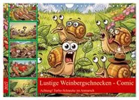 CALVENDO / Irmer |  Lustige Weinbergschnecken - Comic (Wandkalender 2027 DIN A4 quer), CALVENDO Monatskalender | Sonstiges |  Sack Fachmedien