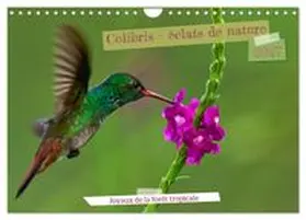 CALVENDO / Zydek AnZy-Fotografie |  Colibris - éclats de nature (Calendrier mural 2027 DIN A4 vertical), CALVENDO calendrier mensuel | Sonstiges |  Sack Fachmedien