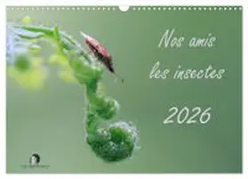 CALVENDO / Martzel |  Nos amis les insectes (Calendrier mural 2027 DIN A3 vertical), CALVENDO calendrier mensuel | Sonstiges |  Sack Fachmedien