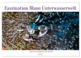 CALVENDO / Schulz |  Faszination blaue Unterwasserwelt (Wandkalender 2027 DIN A2 quer), CALVENDO Monatskalender | Sonstiges |  Sack Fachmedien
