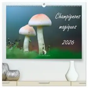 CALVENDO / Martzel |  Champignons magiques (Calendrier mural haut de gamme 2027 DIN A2 vertical), CALVENDO calendrier mensuel | Sonstiges |  Sack Fachmedien