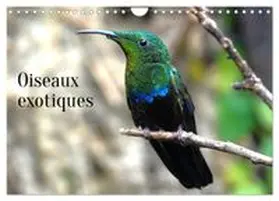 CALVENDO / Casaert |  Oiseaux exotiques (Calendrier mural 2027 DIN A4 vertical), CALVENDO calendrier mensuel | Sonstiges |  Sack Fachmedien