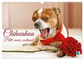 CALVENDO |  Chihuahua : petit, mais costaud (Calendrier mural 2027 DIN A3 vertical), CALVENDO calendrier mensuel | Sonstiges |  Sack Fachmedien