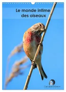CALVENDO / Martzel |  Le monde intime des oiseaux (Calendrier mural 2027 DIN A3 horizontal), CALVENDO calendrier mensuel | Sonstiges |  Sack Fachmedien
