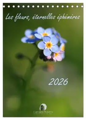 CALVENDO / Martzel |  Les fleurs, éternelles éphemères (Calendrier de bureau 2027 DIN A5 horizontal), CALVENDO calendrier mensuel | Sonstiges |  Sack Fachmedien