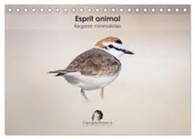 CALVENDO / Martzel |  Esprit animal - Regards minimalistes (Calendrier de bureau 2027 DIN A5 vertical), CALVENDO calendrier mensuel | Sonstiges |  Sack Fachmedien