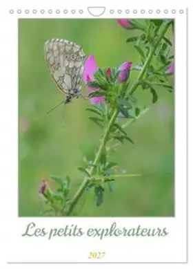 CALVENDO / Aupeix |  Les petits explorateurs (Calendrier mural 2027 DIN A4 horizontal), CALVENDO calendrier mensuel | Sonstiges |  Sack Fachmedien