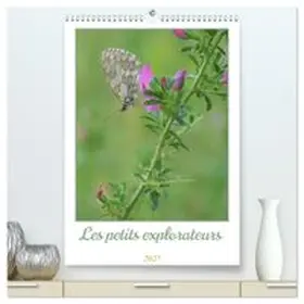 CALVENDO / Aupeix | Les petits explorateurs (Calendrier mural haut de gamme 2027 DIN A2 horizontal), CALVENDO calendrier mensuel | Sonstiges | 978-3-516-97298-6 | www.sack.de