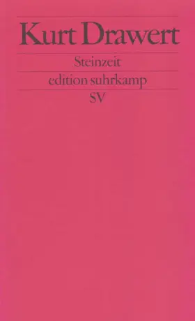 Drawert |  Steinzeit | Buch |  Sack Fachmedien