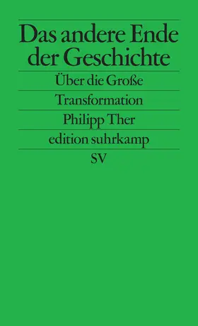 Ther |  Das andere Ende der Geschichte | Buch |  Sack Fachmedien