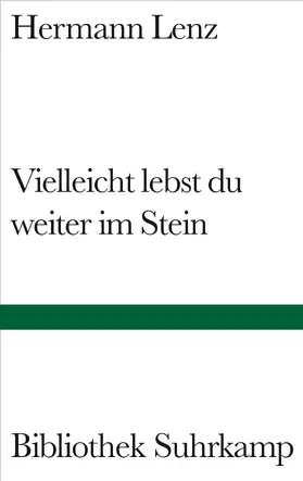 Lenz / Krüger |  Vielleicht lebst du weiter im Stein | Buch |  Sack Fachmedien