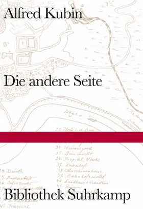 Kubin |  Die andere Seite | Buch |  Sack Fachmedien