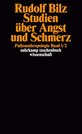 Bilz |  Studien über Angst und Schmerz | Buch |  Sack Fachmedien