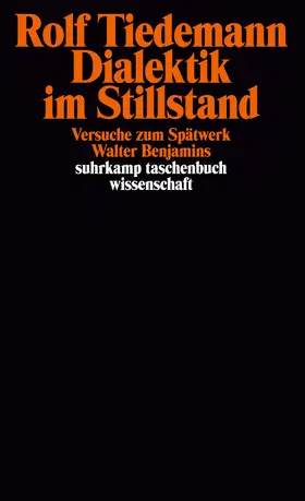 Tiedemann |  Dialektik im Stillstand | Buch |  Sack Fachmedien